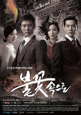 曲阜网络seo报价多少