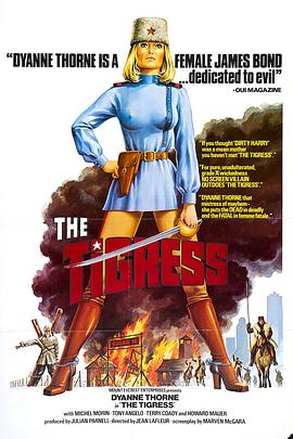 seo优化思路与网站